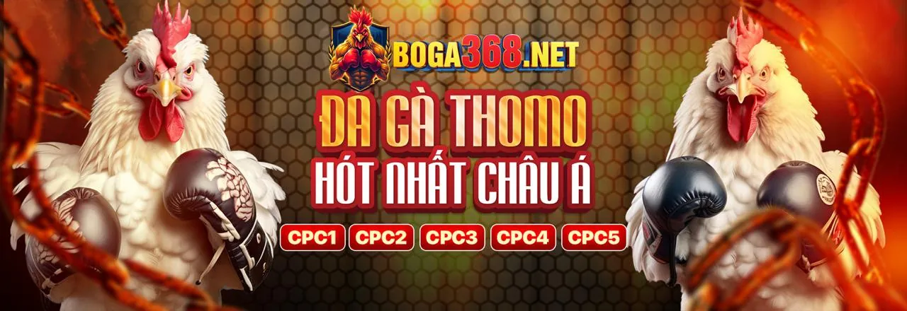 Đá Gà Trực Tuyến Hấp Dẫn tại 66hu88